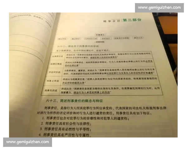企业违规行为处理与法律责任追究全解析 企业违规行为处理与法律责任追究全解析